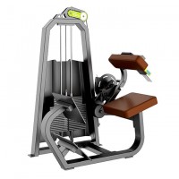       DHZ Fitness T1031 -  .       