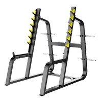        DHZ Fitness T1050 -  .       