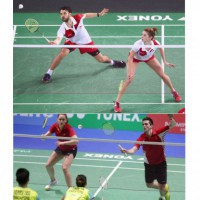 ����� ��� ���������� ��� EL LEON DE ORO ������������ S-Dostavka - ������� �������������. ���������� ������ �������� ������� � ������������� 
