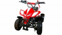 ���������� ����������� MOWGLI 50 cc - ������� �������������. ���������� ������ �������� ������� � ������������� 
