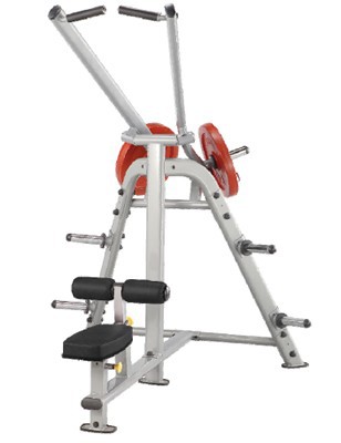 ���������������� �������� Steel Flex C��� ����� PLLA ���� ������ - ������� �������������. ���������� ������ �������� ������� � ������������� 